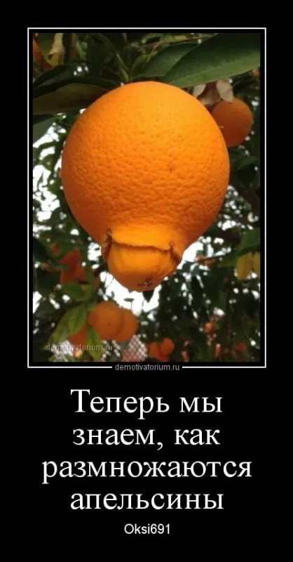 Это опять они! Ваши демотиваторы