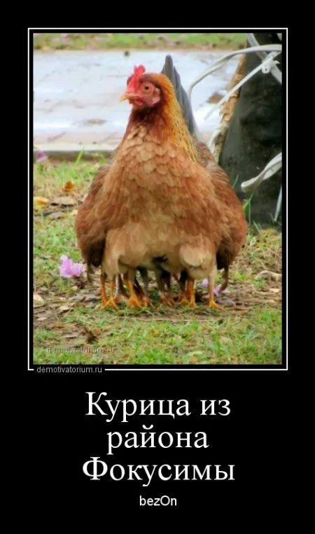 Это опять они! Ваши демотиваторы