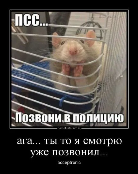 Это опять они! Ваши демотиваторы