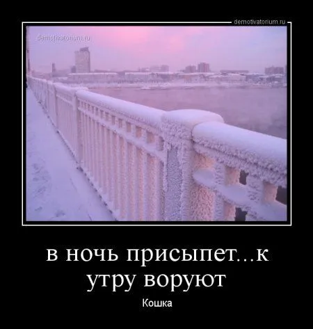 Это опять они! Ваши демотиваторы