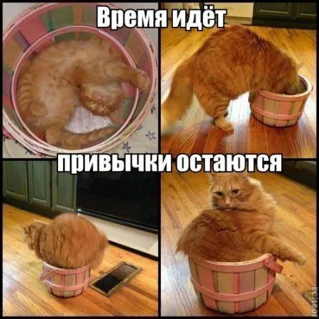 Новые фотоприколы, переполняйся позитивом