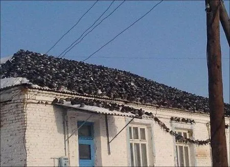 Фотографии для тех, кто любит прикольное