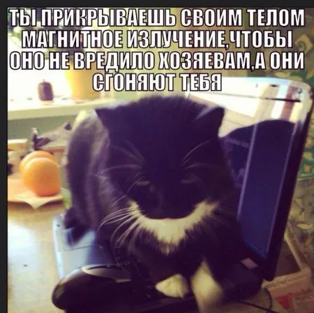 Фотографии для тех, кто любит прикольное