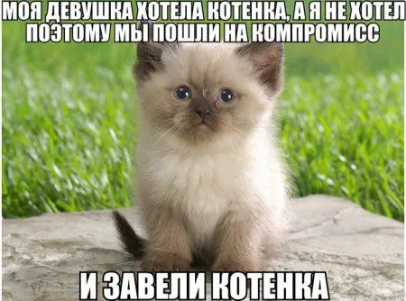 Везде позитив, прикольные фото и картинки