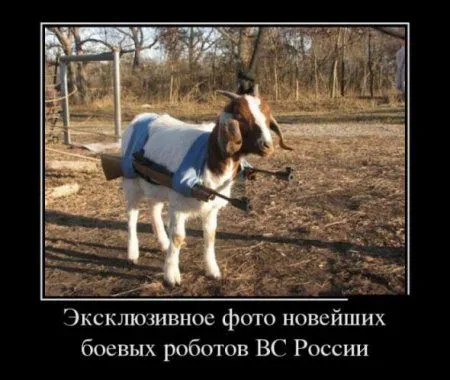 Демотиваторы прикольные