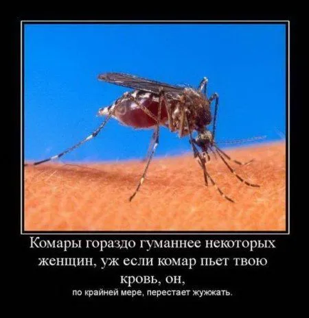 Демотиваторы прикольные