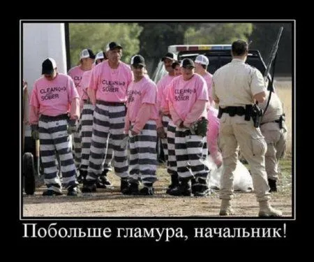 Демотиваторы прикольные