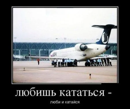 Демотиваторы прикольные