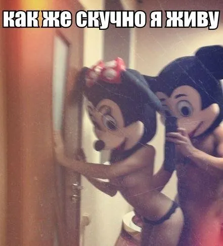 Фото приколы смотри здесь и сейчас