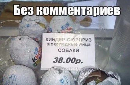 Фото приколы смотри здесь и сейчас
