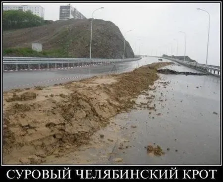 Фото приколы смотри здесь и сейчас