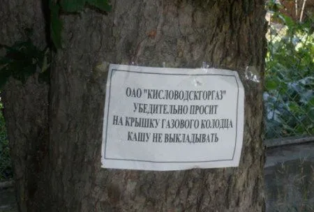 Прикольные картинки и фото, ты под защитой Прикольные картинки и фото, ты под защитой