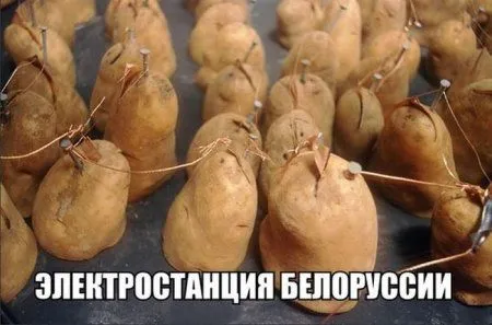 Прикольные картинки и фото, ты под защитой Прикольные картинки и фото, ты под защитой