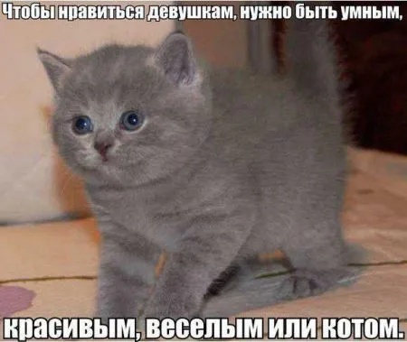 Прикольные картинки