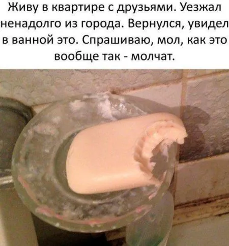 Прикольные картинки