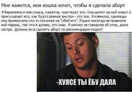 Прикольные картинки