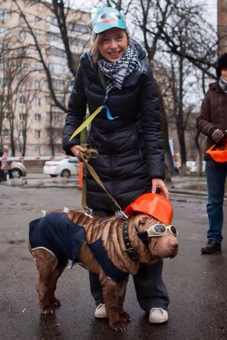 Защитники Евромайдана