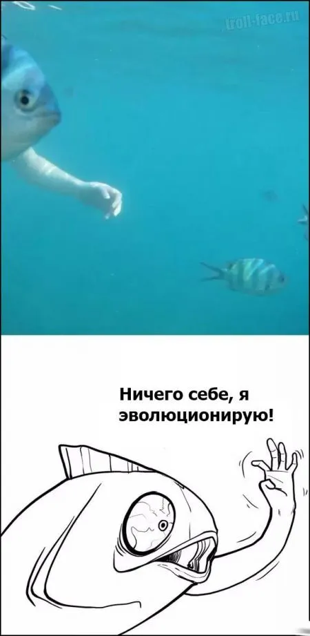 Комиксы и приколы