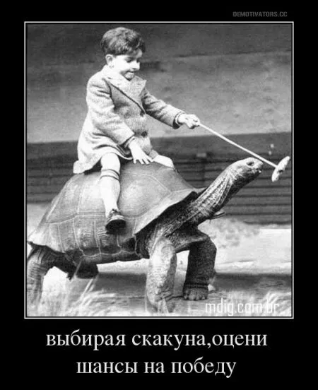 Демотиваторы понелеоьника