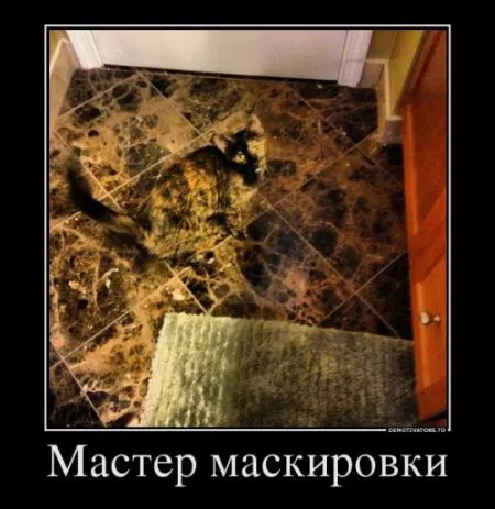 Демотиваторы понелеоьника