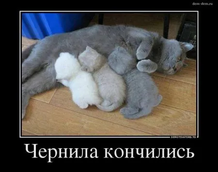 Демотиваторы понелеоьника