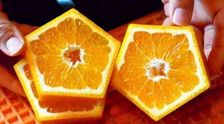 Японский фермер выращивает пятиугольные апельсины