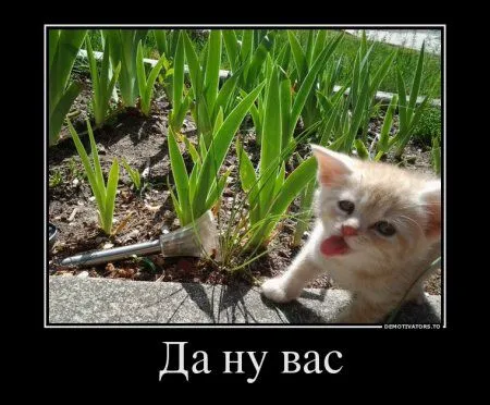 Зима - прощай до декабря