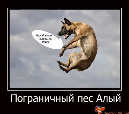 Зима - прощай до декабря