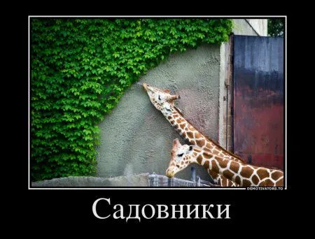 Зима - прощай до декабря