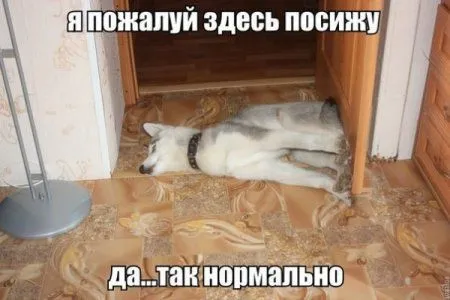 Чего бы вы там не говорили, а прикольные фото лучше чем не прикольные Чего бы вы там не говорили, а прикольные фото лучше чем не прикольные