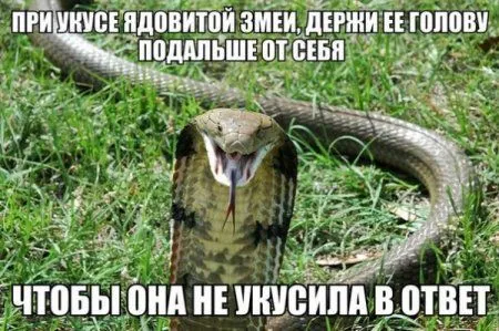 Чего бы вы там не говорили, а прикольные фото лучше чем не прикольные Чего бы вы там не говорили, а прикольные фото лучше чем не прикольные