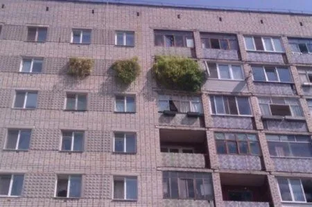 Чего бы вы там не говорили, а прикольные фото лучше чем не прикольные Чего бы вы там не говорили, а прикольные фото лучше чем не прикольные