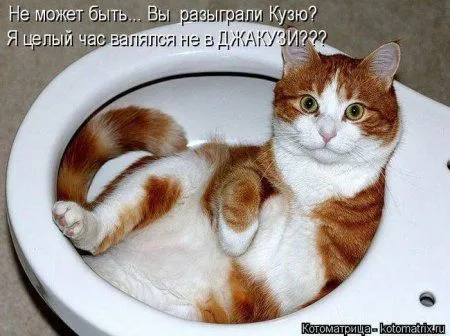 Пятница, последний день зимы - самое время посмеяться над веселыми картинками про кошек