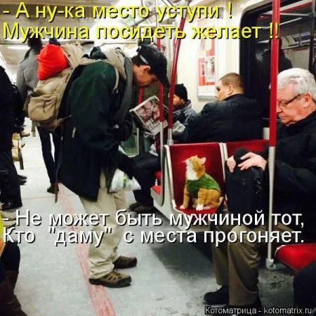 Пятница, последний день зимы - самое время посмеяться над веселыми картинками про кошек