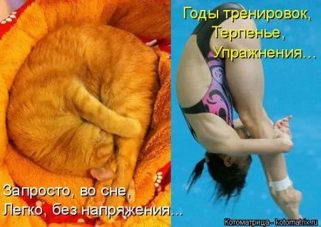Пятница, последний день зимы - самое время посмеяться над веселыми картинками про кошек