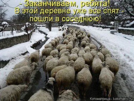 Пятница, последний день зимы - самое время посмеяться над веселыми картинками про кошек