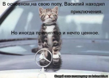 Пятница, последний день зимы - самое время посмеяться над веселыми картинками про кошек