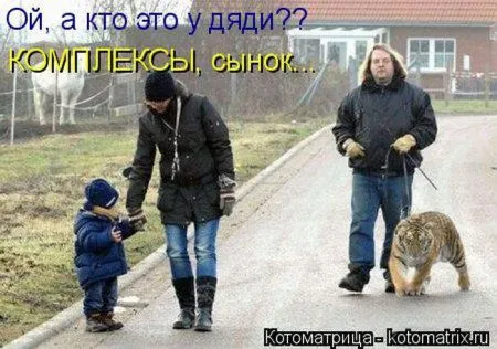 Пятница, последний день зимы - самое время посмеяться над веселыми картинками про кошек