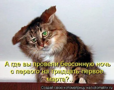 Пятница, последний день зимы - самое время посмеяться над веселыми картинками про кошек