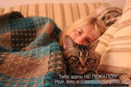 Пятница, последний день зимы - самое время посмеяться над веселыми картинками про кошек