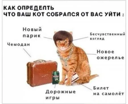 Картинки на вечер пятницы