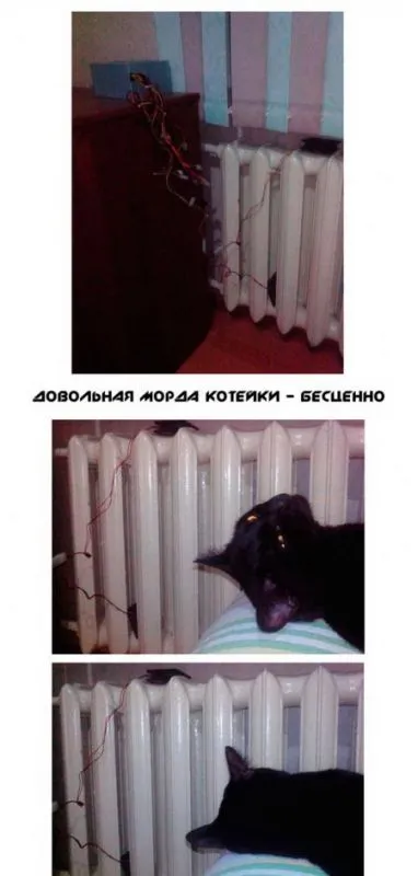 Картинки на вечер пятницы