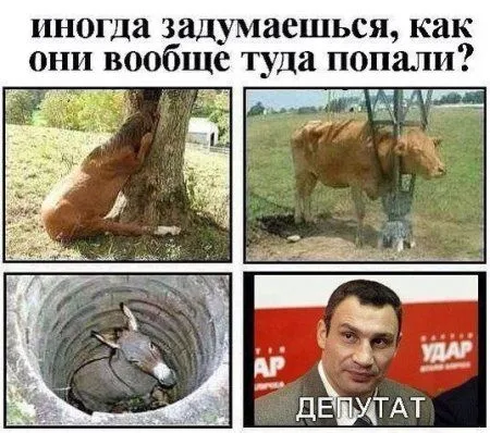 Приколы, картинки и фото, все и у всех будет хорошо!
