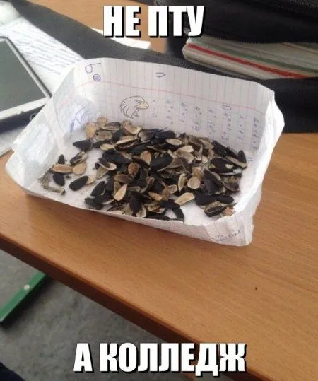 Приколы, картинки и фото, все и у всех будет хорошо!