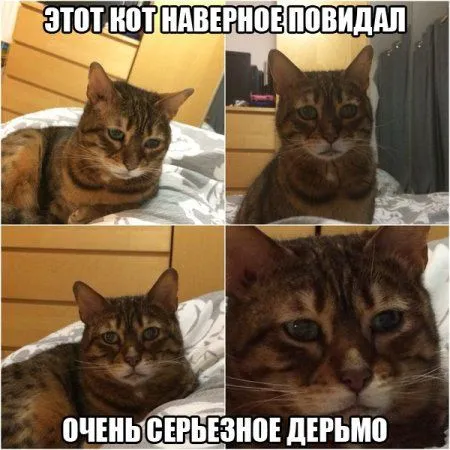 Приколы, картинки и фото, все и у всех будет хорошо!