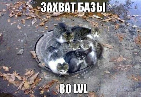 Приколы, картинки и фото, все и у всех будет хорошо!