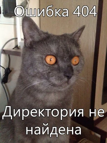 Всего понемножку