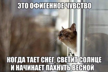 Всего понемножку