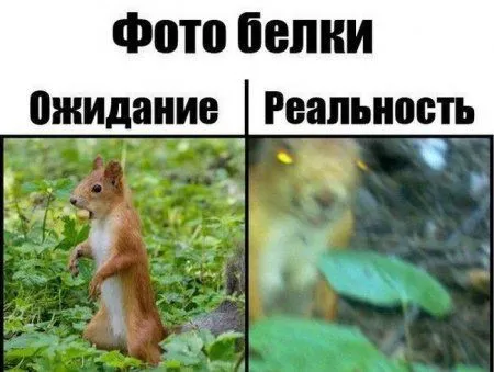 Ожидание vs реальность, примеры в картинках) Ожидание vs реальность, примеры в картинках)