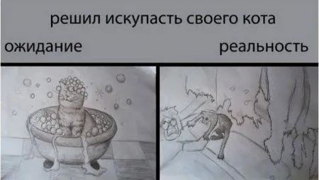 Ожидание vs реальность, примеры в картинках) Ожидание vs реальность, примеры в картинках)